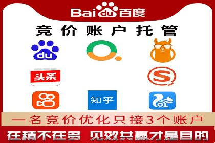跨行业SEM广告投放的多样化案例分析